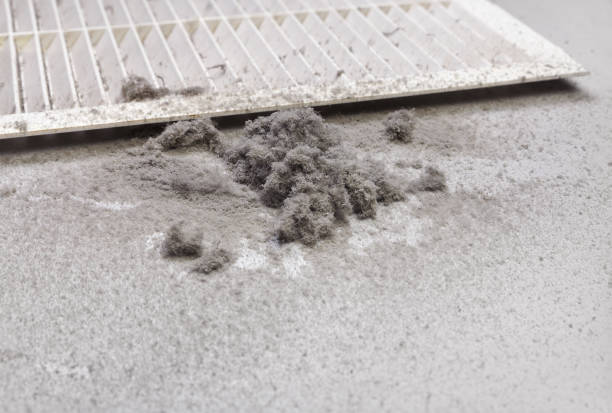 Best Air Duct Sanitizing Services  in Vine Grove, KY